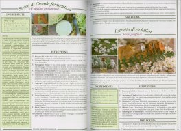 L’Antica Apotecaria Casareccia: 250 Rimedi Potenti a Portata di Mano — Libro - 2