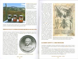 L'apicoltura in Italia — Libro - 2