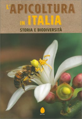 L'apicoltura in Italia — Libro - 1