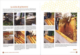 L'Apicoltura: Manuale Pratico Illustrato