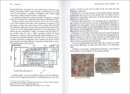 L'Architetto dell'Antico Egitto — Libro - 3