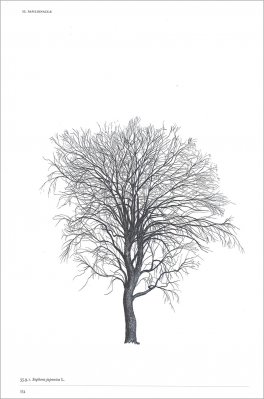 L'Architettura degli Alberi — Libro - 3