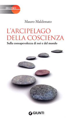 L'Arcipelago della Coscienza — Libro - 1