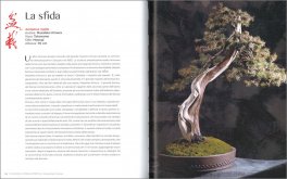 L'Arte del Bonsai — Libro - 3