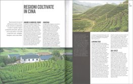 L'Arte del Tè — Libro - 4