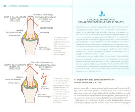 L'Artrosi è una Bugia — Libro - 3