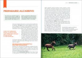 L'Asino — Libro - 3
