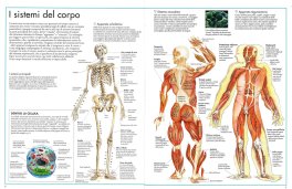 L'Atlante del Corpo Umano — Libro - 3