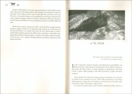 L'eleganza del Gatto — Libro - 3