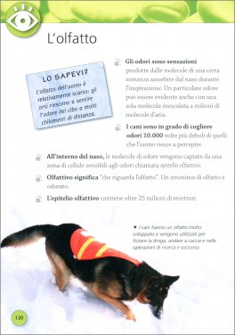 L' Enciclopedia del Corpo Umano — Libro - 3