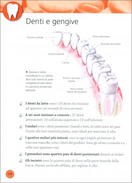 L' Enciclopedia del Corpo Umano — Libro - 4