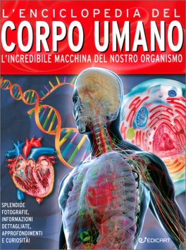 L' Enciclopedia del Corpo Umano — Libro - 1