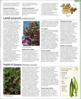 L'Enciclopedia del Verde — Libro - 4
