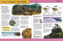 L'Enciclopedia della Vita — Libro - 3