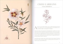 L'Erbario dei Profumi — Libro - 3