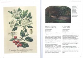 L'Erbario della Wicca — Libro - 3
