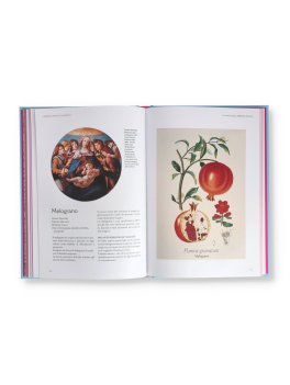 L'Erbario della Wicca — Libro - 3