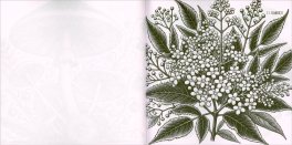 L'Erbario Iniziatico — Libro - 3