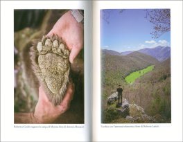 L'Estate dell'Orsa Maggiore — Libro - 3