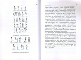 L'Idea Religiosa di Marsilio Ficino e il Concetto di una Dottrina Esoterica — Libro - 3
