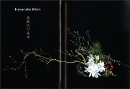 L'Ikebane Svelato — Libro - 3