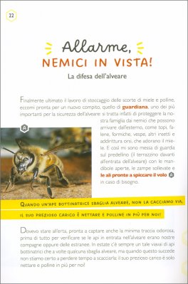 L'importanza di Essere Un'Ape — Libro - 3