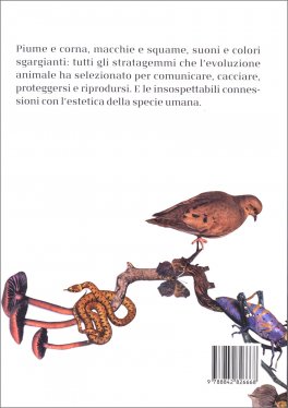L'Incanto degli Animali — Libro - 2