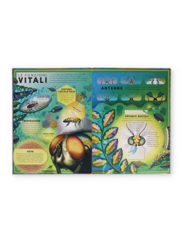 L'Incredibile Pop-Up degli Insetti e Altri Invertebrati — Libro - 2