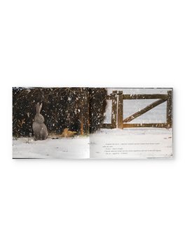L'Inverno dell'Uccellino — Libro - 3