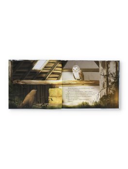 L'Inverno dell'Uccellino — Libro - 2
