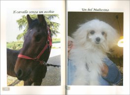 L'ipnosi Retroattiva ci Può Portare a Scoprire Fatti Davvero Sorprendenti! — Libro - 3