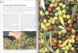 L'Olivo — Libro - 3