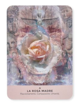 L'Oracolo della Rosa - 7