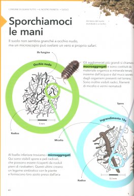 L'Origine di (Quasi) Tutto — Libro - 2