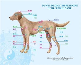 L'Orologio degli Organi per Animali — Libro - 3