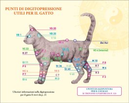 L'Orologio degli Organi per Animali — Libro - 4