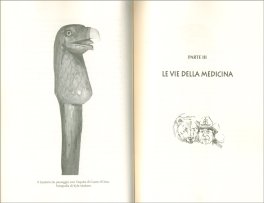 L'Orso È Mio Padre — Libro - 3