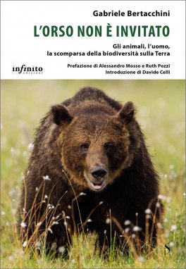 L'Orso non è Invitato — Libro - 1