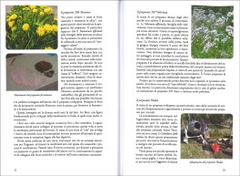 L'Orticoltore Biodinamico — Libro - 3