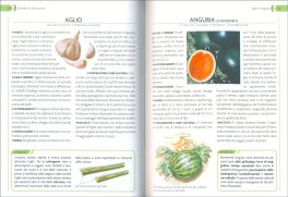 L'Orto - Coltivarlo in Modo Sano e Naturale — Libro - 3