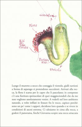 L'orto di un Perdigiorno — Libro - 3