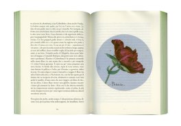 L'Orto di un Perdigiorno — Libro - 3