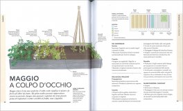 L'Orto in un'Aiuola — Libro - 3