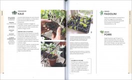 L'Orto in un'Aiuola — Libro - 4