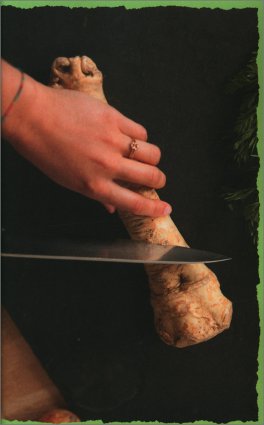 L'Orto in Casa dagli Scarti dei Vegetali — Libro - 4