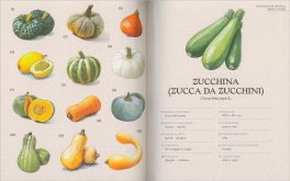L'Orto Semplice — Libro - 4