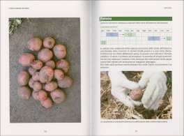 L'Orto senza Sforzo — Libro - 3