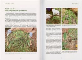 L'Orto senza Sforzo — Libro - 4