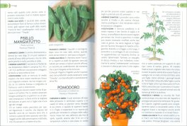 L'Orto sul Balcone — Libro - 3