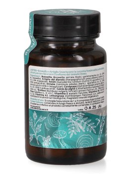 L-Osteo - Ossa e Articolazioni - 3